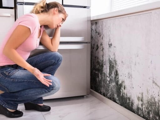 Nem ve Rutubet Yalıtımları