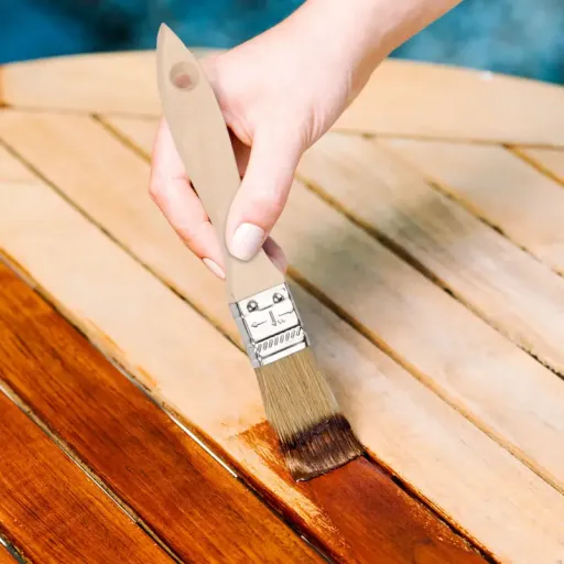 Tutkallar ve Vernikler