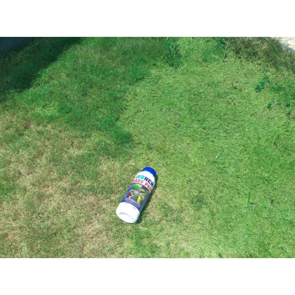 Isonem Grass Paint Çim Boyası 1 Kg – Doğal ve Kalıcı Yeşil Çim Boyası