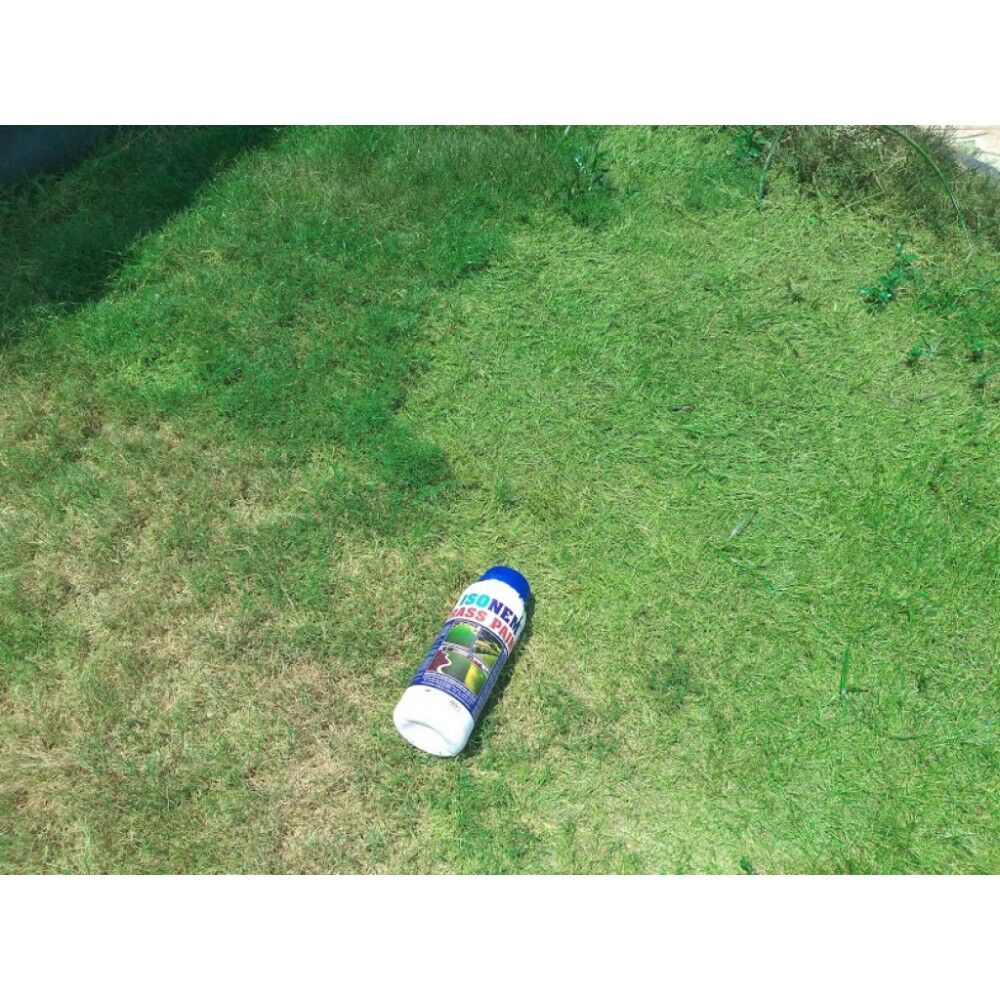 Isonem Grass Paint Çim Boyası 1 Kg – Doğal ve Kalıcı Yeşil Çim Boyası