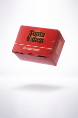 Selectron Sunta Vidası 4.2x15 mm - 500 Adet Ahşap Vida Seti